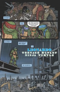 TeenageMutantNinjaTurtles_Leonardo-Preview_03