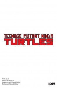 TeenageMutantNinjaTurtles_Microseries6_Casey-Preview10